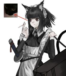  1girl animal_ears apron black_hair cat_ears cigarette highres holding holding_case holding_cigarette katana limbus_company maid maid_apron maid_headdress project_moon red_eyes ryoshu_(project_moon) short_hair solo standing sword weapon whereamicyx white_background wuthering_heights_(identity)_(project_moon) 
