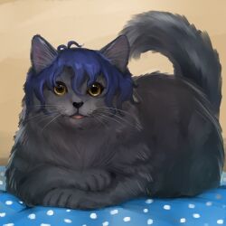  animal animal_focus animal_with_hair animalization blue_hair cat full_body grey_cat highres hold111 idolmaster idolmaster_million_live! looking_at_viewer no_humans solo toyokawa_fuka yellow_eyes 