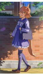  +_+ 1girl :d absurdres animal_ears bag brick_wall brown_shoes daruma_doll day ear_covers full_body hair_ornament highres horse_ears horse_girl horse_tail long_sleeves looking_at_viewer matikanefukukitaru_(umamusume) no_842 open_mouth orange_hair outdoors purple_thighhighs school_bag school_uniform shoes single_ear_cover smile solo sunlight tail thigh-highs tracen_school_uniform umamusume walking 