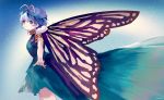  1girl ainy77 blue_hair butterfly_wings eternity_larva hidden_star_in_four_seasons highres night night_sky sky star touhou wings 
