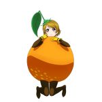  food fruit koizumi_hanayo love_live!_school_idol_project official_art orange 