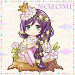  blush braids chibi crown dress green_eyes long_hair love_live!_school_idol_project smile toujou_nozomi vines violet_hair 