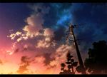  clouds flower letterboxed no_humans original scenery silhouette sky star_(sky) starry_sky sunflower sunset technoheart telephone_pole tree 