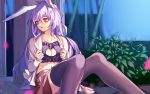  1girl animal_ears bamboo bra cat_lingerie cleavage_cutout collarbone eredhen lavender_hair long_hair long_sleeves looking_away midriff navel open_clothes open_shirt parted_lips rabbit_ears red_eyes reisen_udongein_inaba shirt sitting skirt solo thigh-highs touhou underwear 