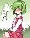  1girl blush commentary_request dress_shirt green_hair kazami_yuuka looking_at_viewer plaid plaid_skirt shirt short_hair skirt skirt_set solo touhou translation_request vest 