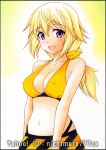  acrylic_paint_(medium) bikini bikini_skirt blonde_hair braid charlotte_dunois infinite_stratos long_hair nightmare77zx swimsuit traditional_media violet_eyes 