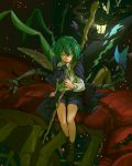  1girl amayadori-tei antennae butterfly butterfly_wings cape centipede full_body green_eyes green_hair insect insect_wings lantern long_sleeves looking_at_viewer shirt shoes short_hair shorts sitting socks solo staff touhou wings wriggle_nightbug 