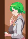  1girl apron blush breasts cooking finger_to_mouth from_side green_hair hair_ornament hair_up hairclip kazami_yuuka large_breasts peeping red_eyes short_ponytail smile solo tasting teikou touhou 