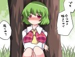  1girl against_tree blush breast_hold breasts commentary_request crossed_arms dress_shirt green_hair hammer_(sunset_beach) kazami_yuuka large_breasts looking_at_viewer necktie red_eyes shirt short_hair sitting solo touhou translation_request tree 