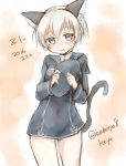  alternate_costume animal_ears blue_eyes cat_ears dress german_clothes hat kantai_collection long_sleeves sailor_dress sailor_hat short_hair silver_hair solo z1_leberecht_maass_(kantai_collection) 