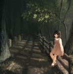  1girl ame_usako black_eyes brown_hair dress fence long_sleeves nature original road shoes short_hair smile socks solo tree 