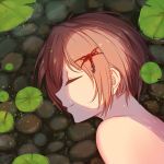  brown_hair closed_eyes highres lily_pad partially_submerged short_hair smile solo tiwing 
