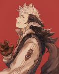  1boy animal_ears black_hair fire_emblem fire_emblem_if flannel_(fire_emblem_if) gloves highres long_hair maekakekamen multicolored_hair red_background red_eyes scar simple_background solo tail two-tone_hair white_hair wolf_ears wolf_tail 