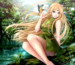  1girl bare_legs bird blonde_hair circlet deedlit dress elf forest legs long_hair looking_at_viewer nature outdoors pointy_ears rainbow record_of_lodoss_war satochi_(1122) sitting sleeveless sleeveless_dress smile solo 