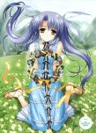  blue_hair flower grass highres kimizuka_aoi twintails yellow_eyes 
