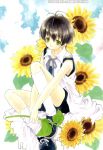  azumi_tohru flower green_eyes ribbon socks sunflower 