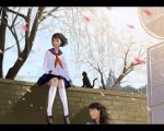  cat cherry_blossoms kiyohisa school_uniform serafuku short_hair 