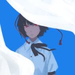  1girl amino_(tn7135) black_hair blue_background collared_shirt curtains expressionless hat head_tilt looking_at_viewer red_eyes red_pupils ribbon shameimaru_aya shirt short_hair short_sleeves simple_background solo tokin_hat touhou white_shirt wind 