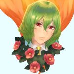  1girl amino_(tn7135) blue_background face flower green_hair kazami_yuuka looking_at_viewer portrait red_eyes short_hair simple_background solo touhou 