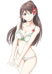  1girl alternate_costume amagi_(kantai_collection) bra breasts brown_eyes brown_hair green_bra green_panties hair_between_eyes highres kantai_collection large_breasts leaf long_hair looking_at_viewer maple_leaf midriff mole mole_under_eye navel panties ponytail simple_background smile solo underwear underwear_only vent_arbre 