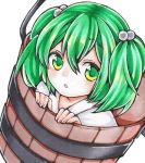  1girl bucket green_eyes green_hair hair_bobbles hair_ornament in_bucket in_container kisume kurumikko looking_at_viewer marker_(medium) open_mouth simple_background solo touhou traditional_media two_side_up white_background 