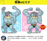  battle_girl_(pokemon) female machamp male_focus official_art pokemon sexual_dimorphism translated 