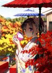 1girl absurdres ball blurry brown_hair butterfly_hair_ornament depth_of_field fingernails flower hair_flower hair_ornament highres huge_filesize japanese_clothes kantoku kimono long_fingernails looking_at_viewer parasol ponytail scan smile solo umbrella violet_eyes 