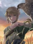  1boy bird bird_on_arm blonde_hair blue_eyes earrings falconry grass hawk highres jewelry link male male_focus pointy_ears sky smile the_legend_of_zelda the_legend_of_zelda:_twilight_princess tsuuuyu upper_body 