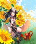  1girl absurdres black_hair blue_eyes doyoom flower highres long_hair maid solo sunflower thigh-highs watering_can 