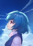  1girl ainy77 artist_name blue blue_hair blue_sky clouds condensation_trail looking_up pink_eyes portrait profile puffy_sleeves shirt short_hair sky smile solo tatara_kogasa touhou upper_body vest 