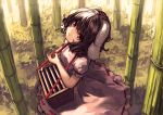  1girl animal_ears bamboo berabou black_hair box donation_box dress from_above grass head_tilt inaba_tewi looking_at_viewer looking_up outdoors pink_dress puffy_sleeves rabbit_ears red_eyes red_ribbon ribbon ribbon_trim short_hair solo sunlight touhou 