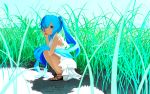  1girl blue_eyes blue_hair grass hatsune_miku highres iki_(kusaikire) long_hair sandals scenery solo squatting twintails vocaloid 