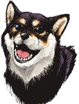  aaru_(tenrake_chaya) animal black_eyes commentary dog no_humans open_mouth original simple_background solo teeth upper_body white_background 