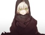  1girl assassin_of_black cloak covering_head fate/apocrypha fate_(series) gradient gradient_background green_eyes looking_at_viewer pako short_hair silver_hair solo white_hair 