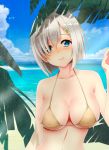  1girl arm_behind_back bare_shoulders beach bikini bikini_top blue_eyes blue_sky blush breasts clouds coast eyes_visible_through_hair hair_ornament hair_over_one_eye hairclip hamakaze_(kantai_collection) highres kantai_collection large_breasts looking_at_viewer navel ocean outdoors plant sand short_hair silver_hair sky smile solo swimsuit upper_body weavehabit 