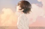  1girl absurdres brown_eyes brown_hair clouds commentary d4dj english_commentary from_side giraffe_three highres looking_up miyake_aoi outdoors parted_lips profile shirt short_hair sky solo upper_body white_shirt 