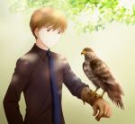  1boy arya_(tianhua) bird black_shirt blue_eyes brown_eyes brown_gloves brown_hair gloves magic_kaito shirt short_hair solo 