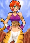  1girl animal_ears breasts breath_of_fire breath_of_fire_ii bustier cat_ears cat_tail facial_mark furry gloves green_eyes no_panties no_pants orange_hair pointy_ears redhead rinpoo_chuan short_hair solo tail tare_(hiden_no_tare) 