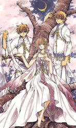  1girl 2boys absurdres brown_eyes brown_hair cherry_blossoms clamp dress dual_persona highres looking_at_viewer moon multiple_boys outdoors sakura_hime see-through short_hair tree tsubasa_chronicle xiaolang 