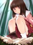  1girl :o bamboo bangs blunt_bangs blush brown_hair commentary_request frills from_below grass houraisan_kaguya kozue_akari long_hair long_sleeves nest on_ground pink_shirt red_eyes red_skirt shirt skirt socks solo touhou white_legwear wide_sleeves 