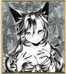  1girl animal_ears bamboo bamboo_forest breasts brooch dated forest hands_on_own_chest imaizumi_kagerou jewelry large_breasts licking_lips long_hair long_sleeves looking_at_viewer monochrome mosho nature signature smile solo tongue tongue_out touhou traditional_media upper_body wolf_ears 