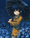  1girl blue_eyes blue_hair flower kitsune_(kazenouta) lowres rain short_hair smile solo umbrella 