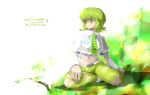  green_eyes green_hair highres hits midriff mushroom necktie original oso oso_(toolate) pants personification short_hair smile torn_clothes 