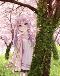  1girl cherry_blossoms collarbone dress flower hair_flower hair_ornament highres hood hoodie kawazu looking_at_viewer open_clothes outdoors pantyhose petals purple_hair smile solo teeth tree twintails violet_eyes vocaloid voiceroid white_dress yuzuki_yukari yuzuki_yukari_(onn) yuzuki_yukari_(vocaloid4) 