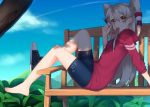  1girl alternate_costume amatsukaze_(kantai_collection) barefoot bench bike_shorts blue_sky brown_eyes casual cherry clouds food fruit hair_between_eyes hair_tubes holding holding_fruit kantai_collection lio_(rumei2265874644) long_hair long_sleeves looking_at_viewer mountain outdoors plant shoes silver_hair single_shoe sitting sky tennis_shoes two_side_up windsock 