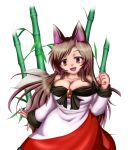  1girl absurdres animal_ears bamboo bamboo_forest breasts brooch brown_hair cleavage collarbone dress forest highres imaizumi_kagerou jewelry large_breasts long_sleeves looking_at_viewer nail_polish nature open_mouth red_eyes red_nails simple_background solo tail touhou white_background wide_sleeves wolf_ears wolf_tail yukise_mikono 