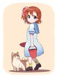  1girl blue_eyes bow brown_hair bucket child dog dress hair_bow kasa_list kodomo_no_hi kousaka_honoka love_live!_school_idol_project one_side_up short_hair shovel side_ponytail socks worktool young younger 