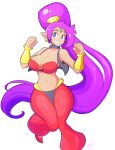  1girl armlet blue_eyes breasts cleavage earrings grin highres jewelry large_breasts long_hair midriff navel pointy_ears purple_hair shantae shantae_(character) smile solo theycallhimcake very_long_hair wide_hips 