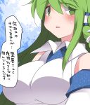 1girl blush breasts commentary_request detached_sleeves frog_hair_ornament green_eyes green_hair hair_ornament hair_tubes hammer_(sunset_beach) kochiya_sanae large_breasts long_hair looking_at_viewer snake_hair_ornament solo touhou translated upper_body 