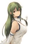  1girl animal bangs bare_shoulders breasts brown_eyes collared_vest detached_sleeves eyebrows eyebrows_visible_through_hair from_side green_hair hair_between_eyes hair_ornament hair_tubes highres kochiya_sanae koretsuki_aduma large_breasts long_hair long_sleeves looking_at_viewer looking_to_the_side simple_background sketch smile snake snake_hair_ornament solo touhou upper_body vest white_background wing_collar 